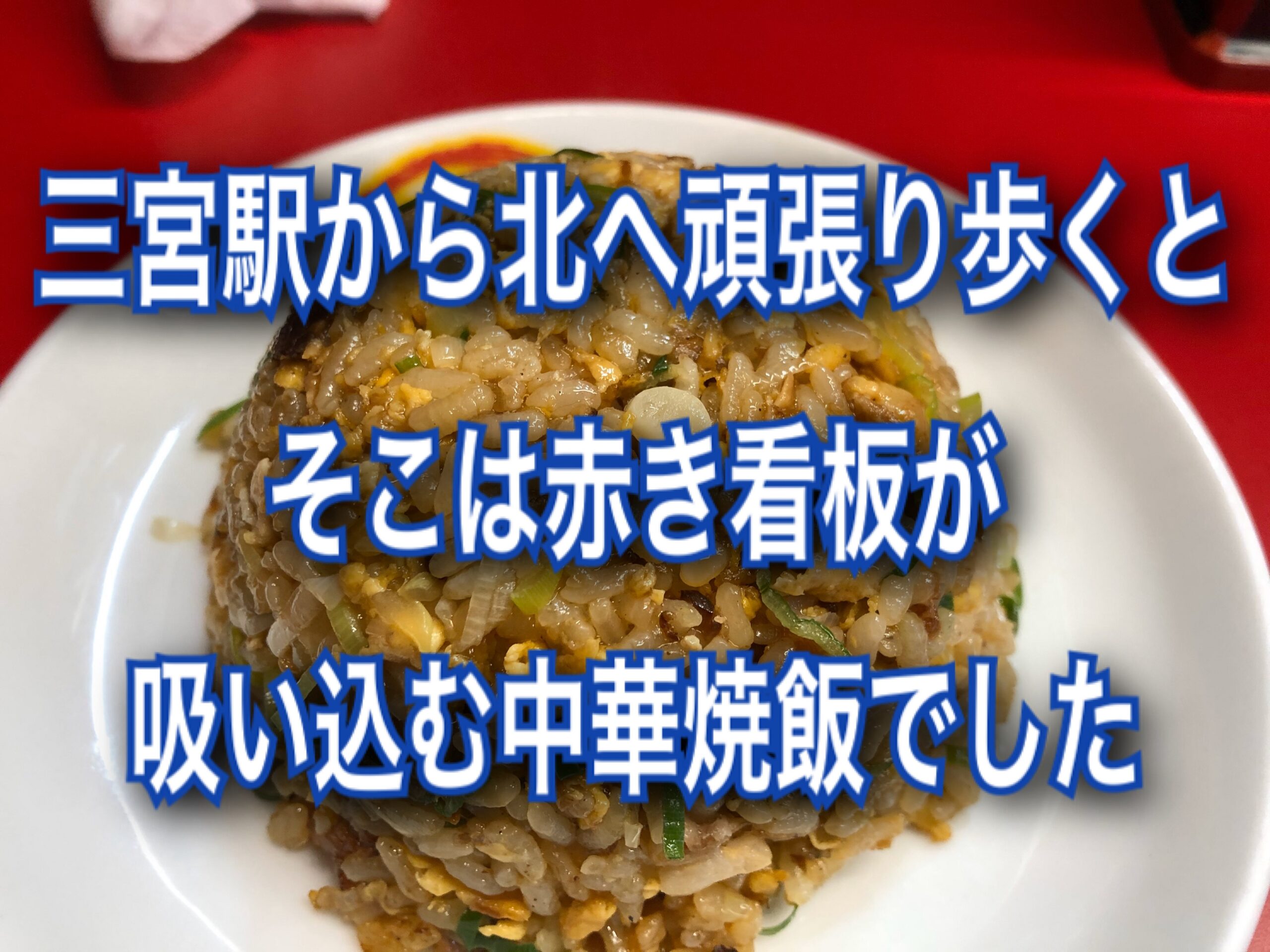 丸高中華のチャーハン
